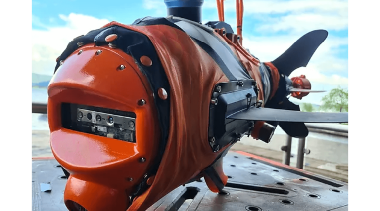 food-accl-slider-aquaai-v2-desktop