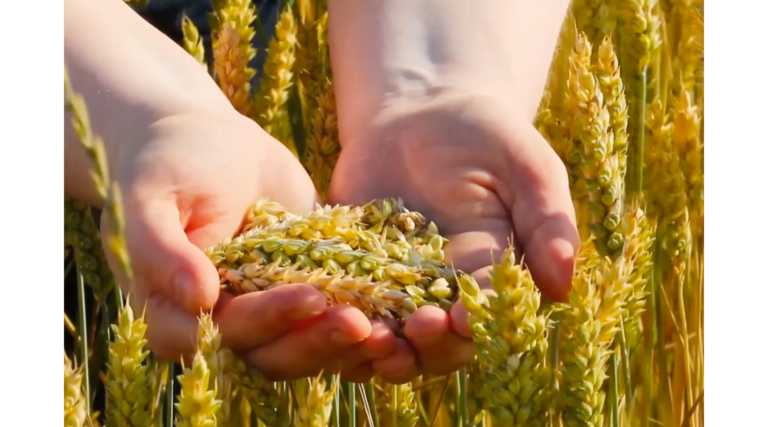 food-accl-slider-symbiagro-desktop