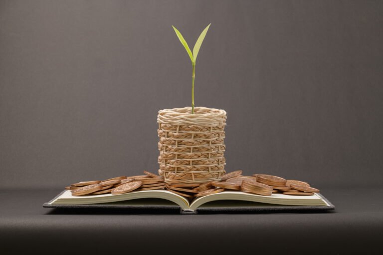 6- invest for imapct