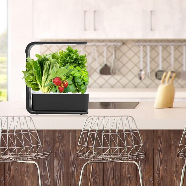 WhatsApp Image 2024-06-04 at 4.54